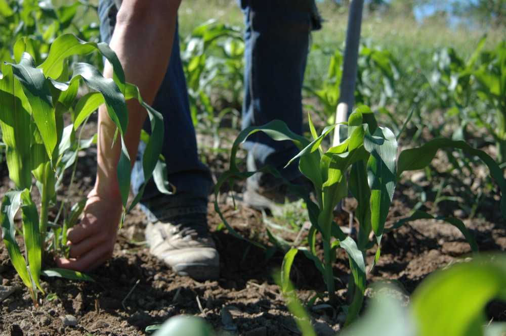 Exceptionally Healthy