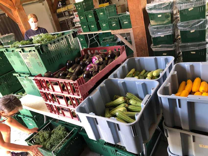 Fox Creek Farm, packing produce